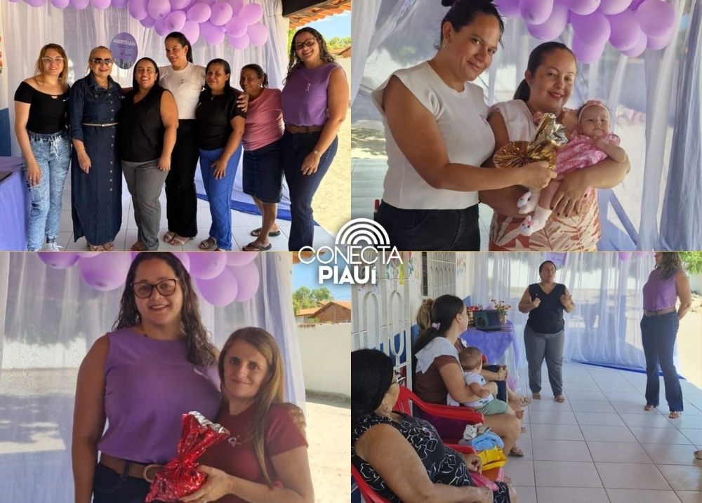 Pau D'Arco do Piauí realiza palestra sobre violência contra a mulher
