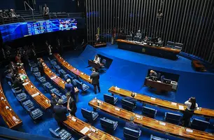 Pauta da sessão desta quarta tem Lei Maria da Penha e selo para cidades que promovem direitos das mulheres (Foto: Jonas Pereira/Agência Senado)