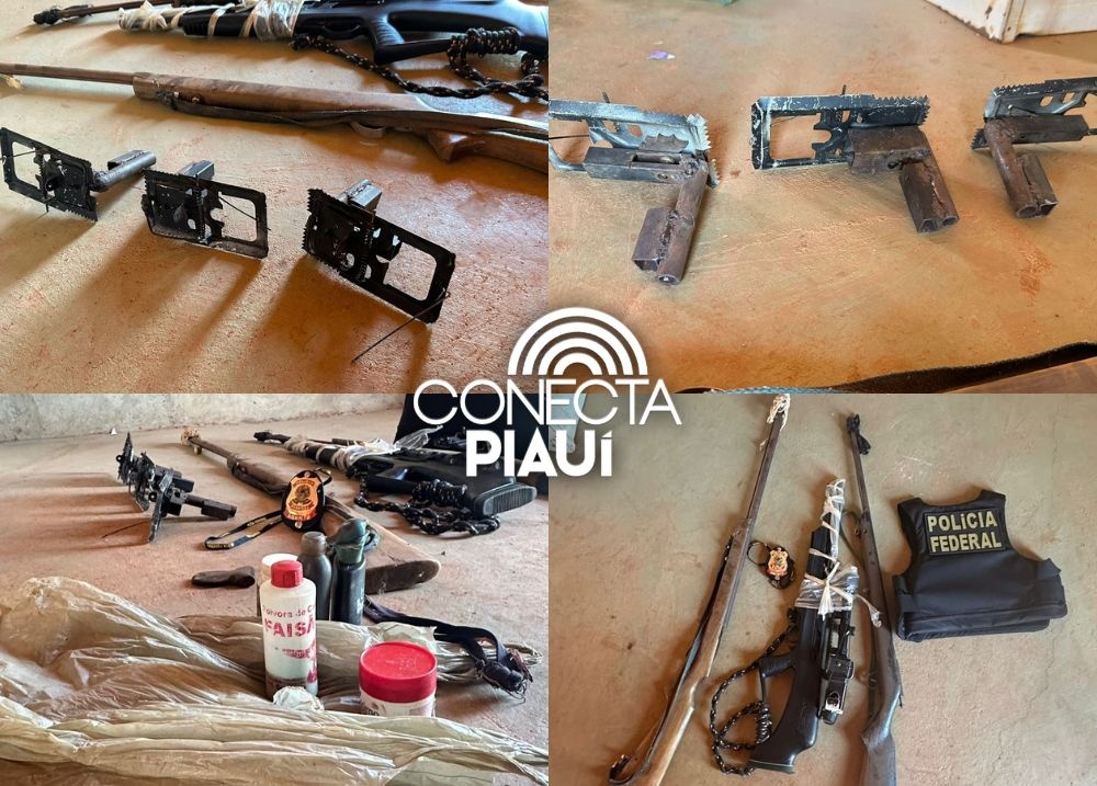 PF prende homem por caça ilegal e divulgação de crimes ambientais no Piauí