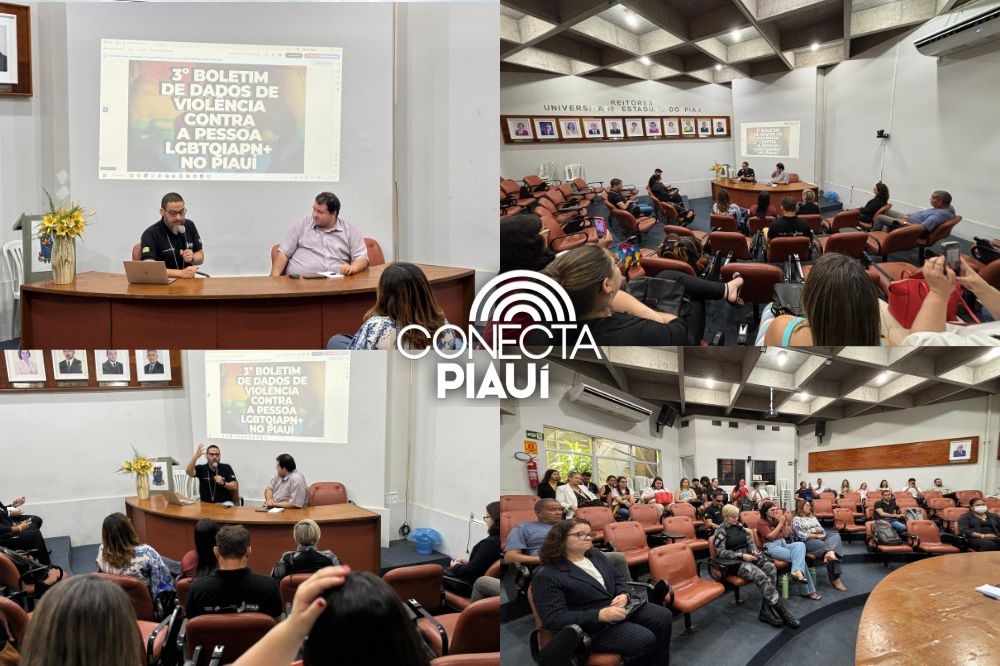 Piauí lança boletim com dados sobre violência contra população LGBTQIAPN+