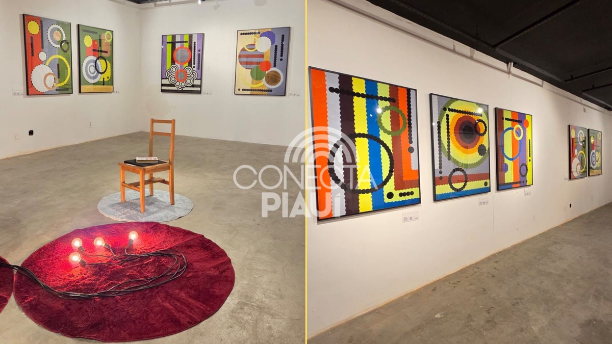 Piauiense faz sucesso com exposição visual no Rio de Janeiro