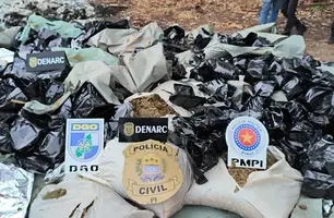 Polícia Civil e Militar incineram mais de 1,5 tonelada de drogas em Teresina (Foto: Conecta Piauí)