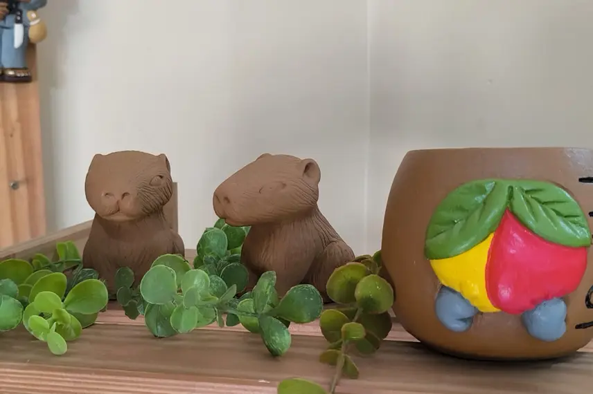 Polo Cerâmico do Poti Velho