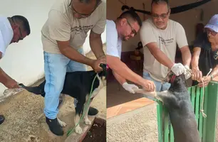 Prefeitura de Aroazes promove testagem de cães contra Leishmaniose Visceral (Foto: Reprodução/Redes sociais)