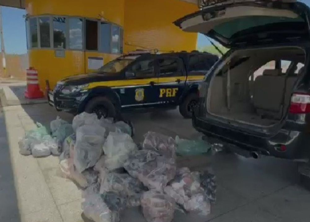 PRF apreende carga de quase R$ 95 mil em mercadorias sem nota fiscal no Piauí