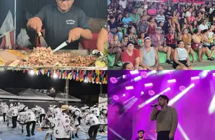 Segunda noite do 47º Encontro Nacional dos Folguedos movimenta Teresina com cultura popular (Foto: Conecta Piauí)