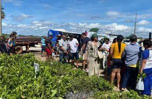 Semarh distriubiu mais de 66 mil mudas de plantas em 2025 (Foto: Ascom Semarh)