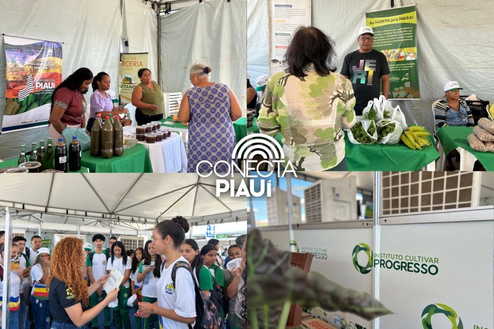 Uruçuí recebe 7ª edição do Diálogos Pelo Piauí com mais de 70 serviços