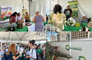 Uruçuí recebe 7ª edição do Diálogos Pelo Piauí com mais de 70 serviços (Foto: Conecta Piauí)