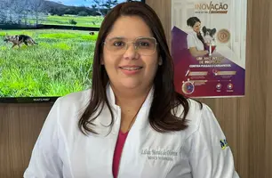 Veterinária alerta para riscos ao compartilhar alimentos com cães e gatos (Foto: Conecta Piauí)