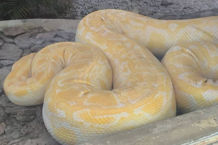 Zoobotânico de Teresina Zoobotânico de Teresina