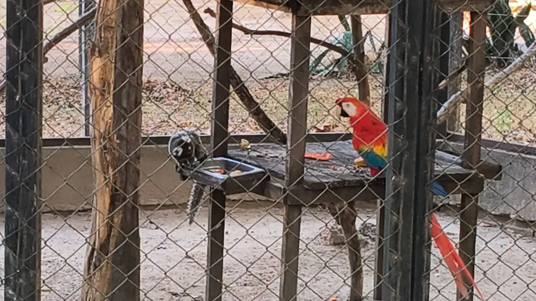 Zoobotânico de Teresina