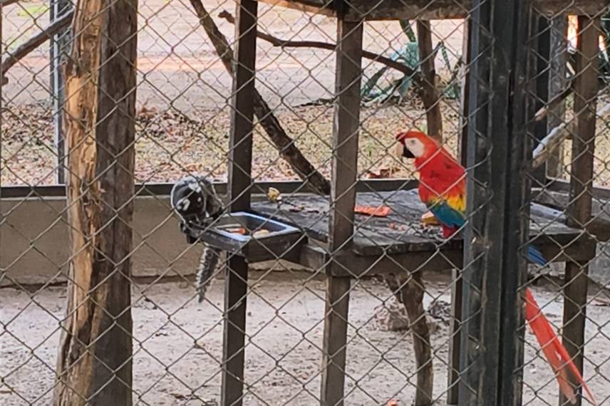 Zoobotânico de Teresina Zoobotânico de Teresina