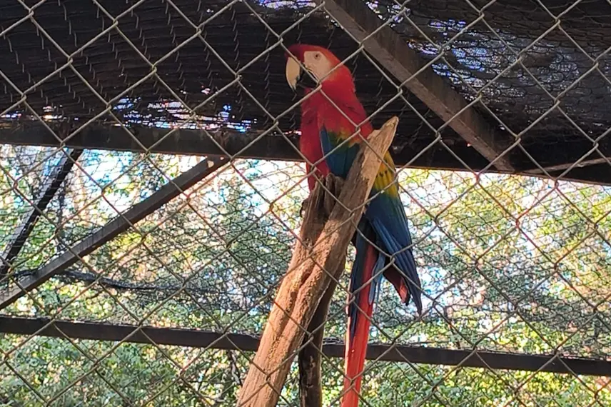 Zoobotânico de Teresina