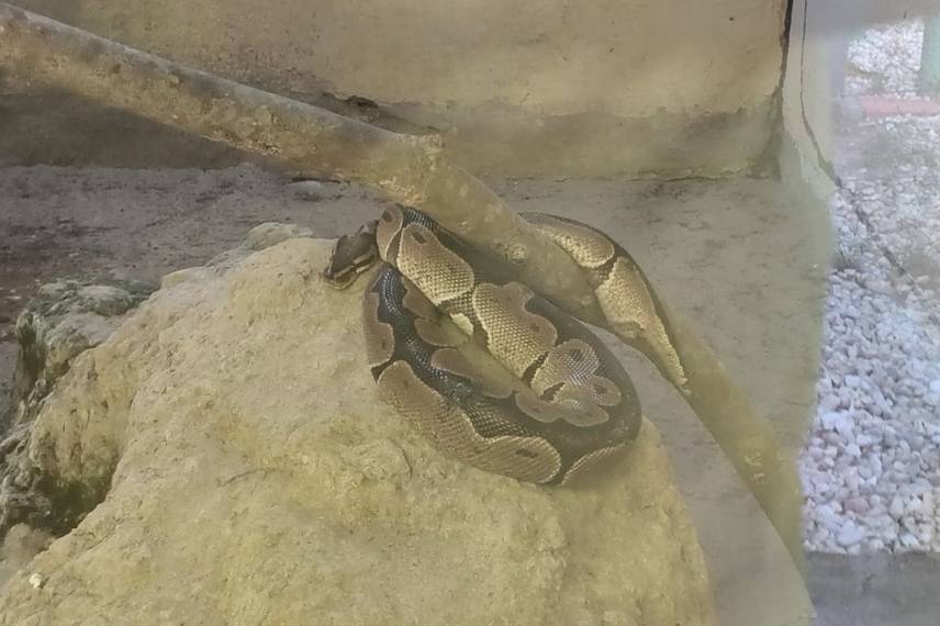 Zoobotânico de Teresina Zoobotânico de Teresina