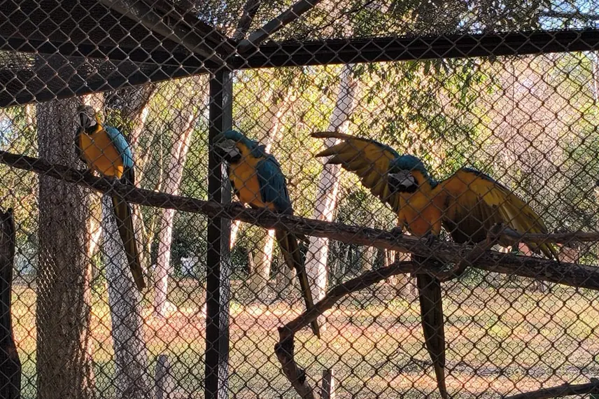 Zoobotânico de Teresina