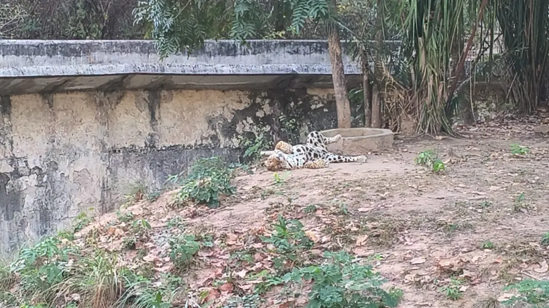 Zoobotânico de Teresina