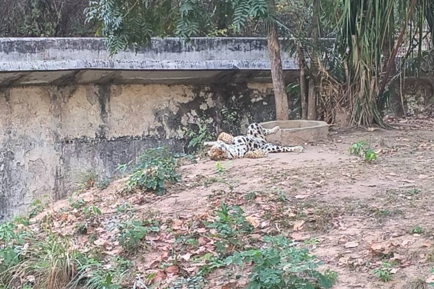 Zoobotânico de Teresina Zoobotânico de Teresina