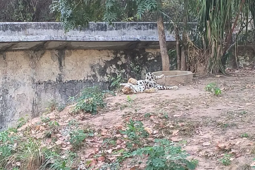 Zoobotânico de Teresina