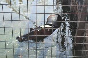 Zoobotânico de Teresina (Foto: Conecta Piauí)