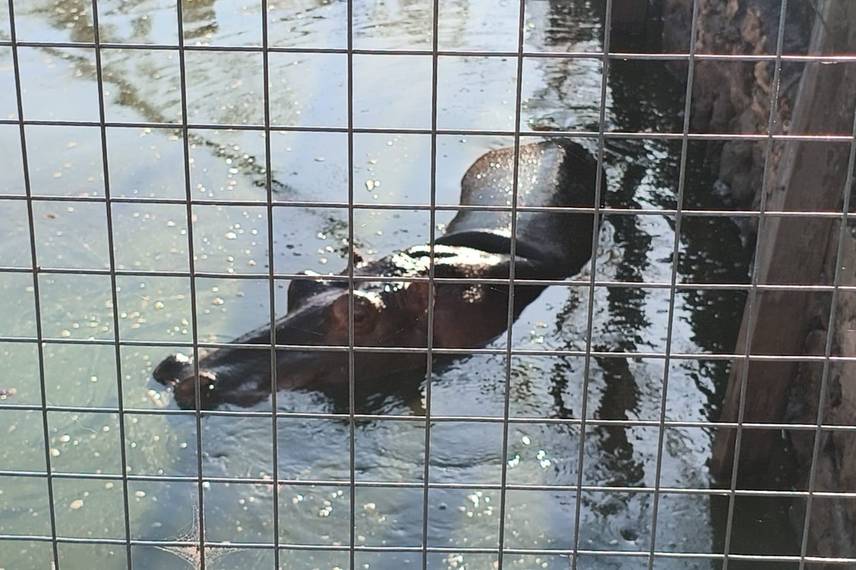 Zoobotânico de Teresina Zoobotânico de Teresina