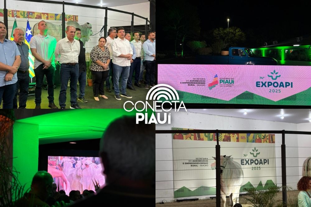 74ª edição da Expoapi é lançada e promete movimentar economia e negócios no Piauí