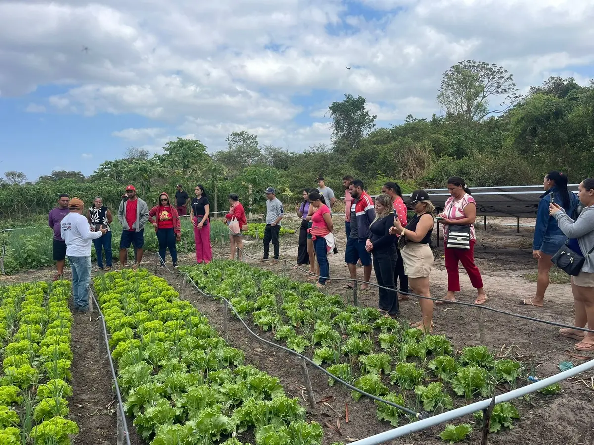 Agroecologia fortalece agricultura familiar no semiárido de Pedro II
