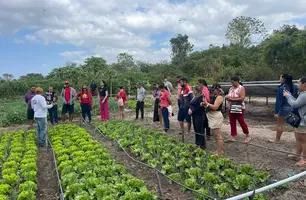 Agroecologia fortalece agricultura familiar no semiárido de Pedro II (Foto: Reprodução)
