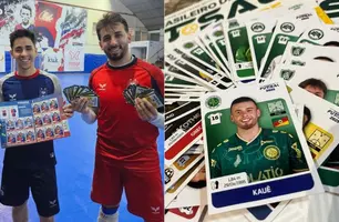 Álbum de figurinhas (Foto: Reprodução)