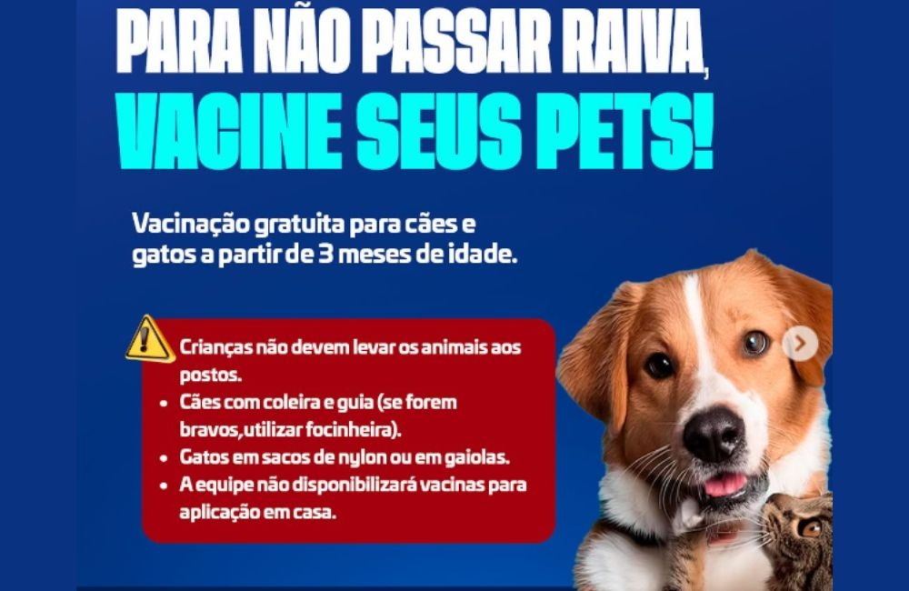 Alto Longá promove Campanha de Vacinação Antirrábica Animal em setembro