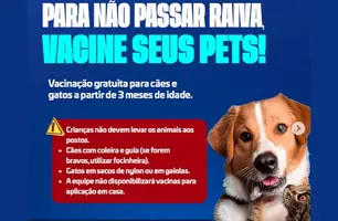 Alto Longá promove Campanha de Vacinação Antirrábica Animal em setembro (Foto: Reprodução/Redes sociais)