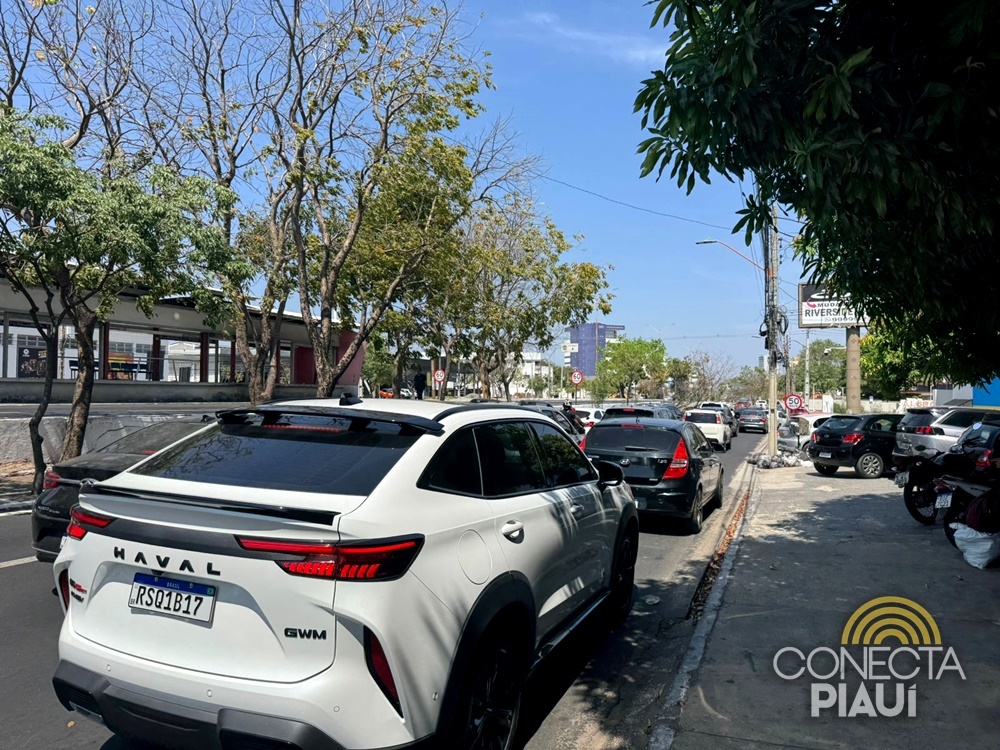 Árvore seca cai e complica trânsito na Avenida João XXIII, em Teresina