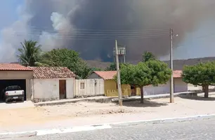 Brigadistas controlam incêndio de grandes proporções em Pimenteiras após quatro dias de combate (Foto: Ascom Semarh)