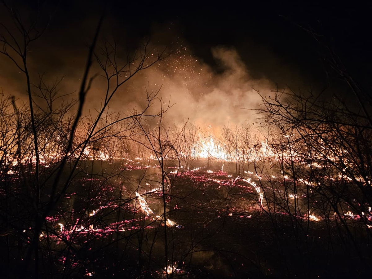 Brigadistas controlam incêndio de grandes proporções em Pimenteiras após quatro dias de combate