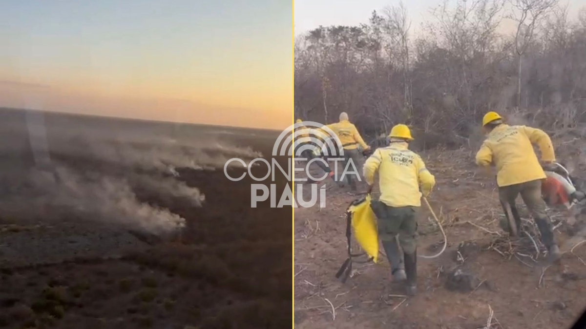 Brigadistas controlam incêndios que atingiram áreas de São Raimundo Nonato