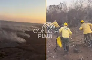 Brigadistas controlam incêndios que atingiram áreas de São Raimundo Nonato (Foto: SSP-PI)