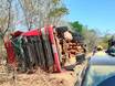 Caminhão com 100 bois tomba e deixa animais mortos na PI-257, no Sul do Piauí