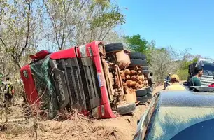 Caminhão com 100 bois tomba e deixa animais mortos na PI-257, no Sul do Piauí (Foto: Conecta Piauí)