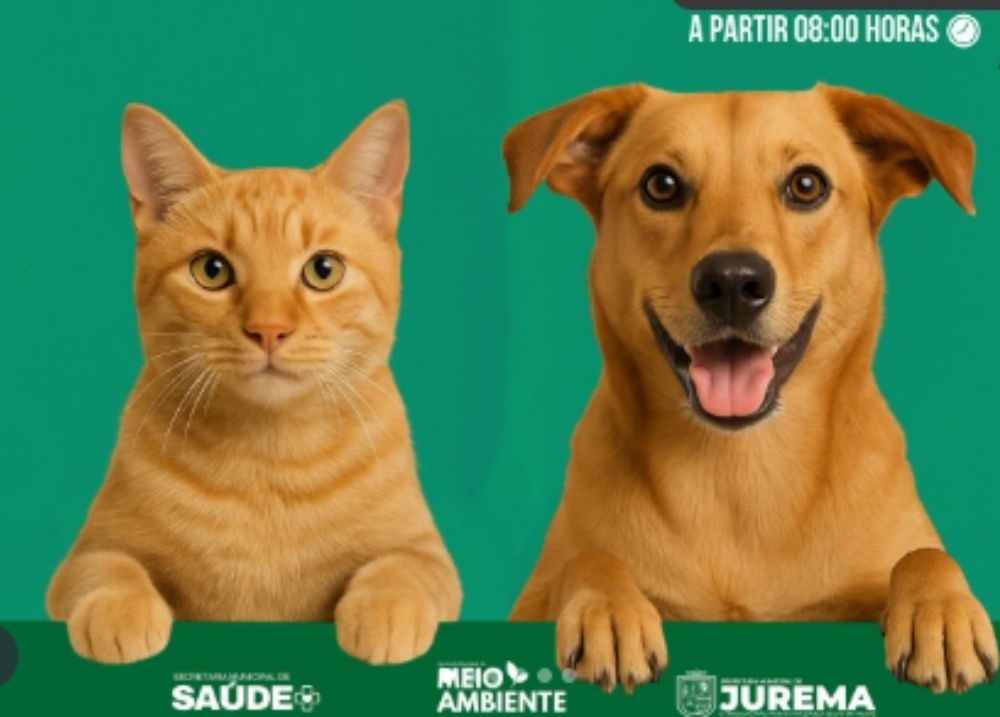 Campanha de vacinação antirrábica mobiliza população em Jurema do Piauí