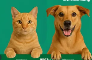 Campanha de vacinação antirrábica mobiliza população em Jurema do Piauí (Foto: Reprodução)