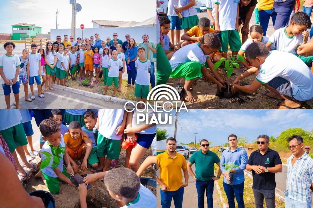 Colônia do Piauí celebra Dia da Árvore com plantio de mudas nativas