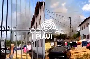 Com humor, jovem se revolta com queimadas em Teresina: 'Demônio taca fogo' (Foto: Reprodução)