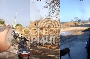 Convite para invasão de terrenos em Teresina é feito nas redes sociais (Foto: Reprodução)