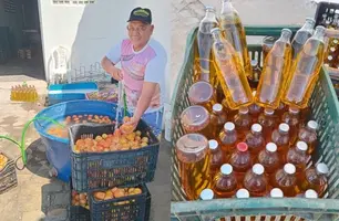 Cooperativa obtém a 1ª cajuína da agricultura familiar certificada pelo Mapa no Piauí (Foto: Reprodução)