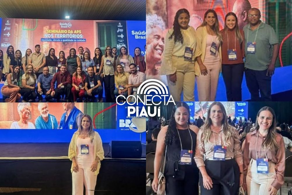 Curimatá participa do Seminário Estadual da Atenção Primária em Teresina