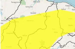 Defesa Civil alerta para baixa umidade e risco de incêndios no Piauí (Foto: Reprodução)