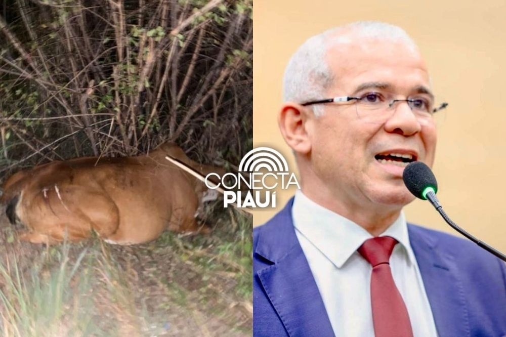 Deputado Tiago Vasconcelos se envolve em acidente com animal em Campo Maior