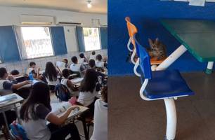 E.M. Angelim é alvo de denúncias por insalubridade e falta de condições de ensino (Foto: Imagens enviadas ao Conecta Piauí) E.M. Angelim é alvo de denúncias por insalubridade e falta de condições de ensino (Foto: Imagens enviadas ao Conecta Piauí)