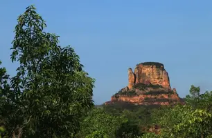Estação Ecológica (Foto: ICMBio)