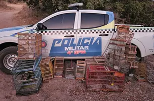 Homem é preso por manter aves silvestres em cativeiro em Pio IX (Foto: Reprodução)